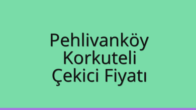 Pehlivanköy Çekici Fiyatı - Korkuteli Oto Kurtarıcı Ücreti Pehlivanköy Çekici Fiyatı – Korkuteli Oto Kurtarıcı Ücreti