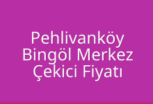 Pehlivanköy Çekici Fiyatı – Bingöl Merkez Oto Kurtarıcı Ücreti