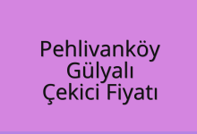 Pehlivanköy Çekici Fiyatı – Gülyalı Oto Kurtarıcı Ücreti