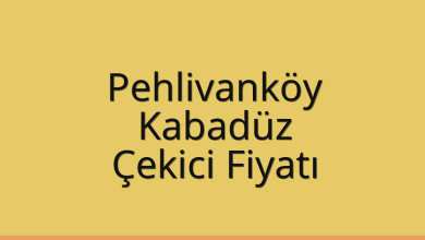 Pehlivanköy Çekici Fiyatı – Kabadüz Oto Kurtarıcı Ücreti