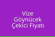 Vize Çekici Fiyatı – Göynücek Oto Kurtarıcı Ücreti