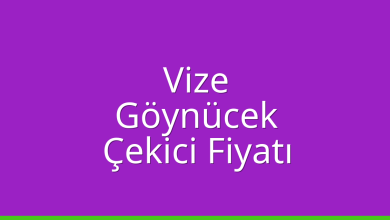 Vize Çekici Fiyatı - Göynücek Oto Kurtarıcı Ücreti Vize Çekici Fiyatı – Göynücek Oto Kurtarıcı Ücreti