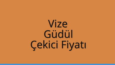 Vize Çekici Fiyatı - Güdül Oto Kurtarıcı Ücreti Vize Çekici Fiyatı – Güdül Oto Kurtarıcı Ücreti