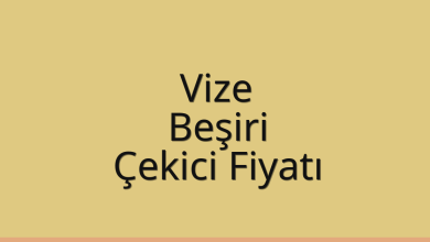 Vize Çekici Fiyatı – Beşiri Oto Kurtarıcı Ücreti