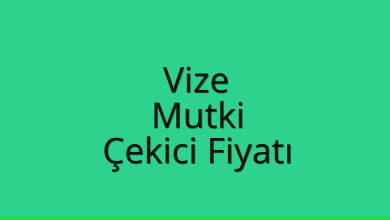 Vize Çekici Fiyatı – Mutki Oto Kurtarıcı Ücreti