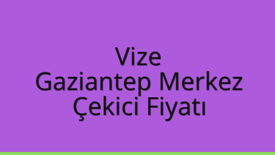 Vize Çekici Fiyatı – Gaziantep Merkez Oto Kurtarıcı Ücreti