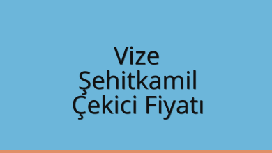 Vize Çekici Fiyatı – Şehitkamil Oto Kurtarıcı Ücreti