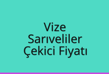 Vize Çekici Fiyatı – Sarıveliler Oto Kurtarıcı Ücreti