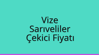 Vize Çekici Fiyatı - Sarıveliler Oto Kurtarıcı Ücreti Vize Çekici Fiyatı – Sarıveliler Oto Kurtarıcı Ücreti