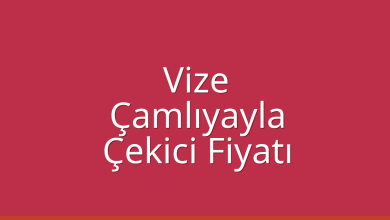 Vize Çekici Fiyatı - Çamlıyayla Oto Kurtarıcı Ücreti Vize Çekici Fiyatı – Çamlıyayla Oto Kurtarıcı Ücreti