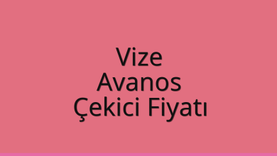 Vize Çekici Fiyatı – Avanos Oto Kurtarıcı Ücreti