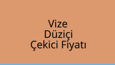 Vize Çekici Fiyatı - Düziçi Oto Kurtarıcı Ücreti Vize Çekici Fiyatı – Düziçi Oto Kurtarıcı Ücreti