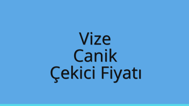 Vize Çekici Fiyatı – Canik Oto Kurtarıcı Ücreti