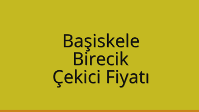Başiskele Çekici Fiyatı – Birecik Oto Kurtarıcı Ücreti