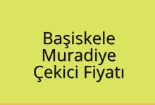 Başiskele Çekici Fiyatı – Muradiye Oto Kurtarıcı Ücreti