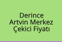 Derince Çekici Fiyatı – Artvin Merkez Oto Kurtarıcı Ücreti