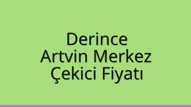 Derince Çekici Fiyatı - Artvin Merkez Oto Kurtarıcı Ücreti Derince Çekici Fiyatı – Artvin Merkez Oto Kurtarıcı Ücreti