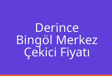 Derince Çekici Fiyatı – Bingöl Merkez Oto Kurtarıcı Ücreti