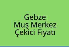 Gebze Çekici Fiyatı – Muş Merkez Oto Kurtarıcı Ücreti