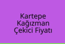 Kartepe Çekici Fiyatı – Kağızman Oto Kurtarıcı Ücreti