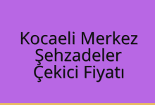Kocaeli Merkez Çekici Fiyatı – Şehzadeler Oto Kurtarıcı Ücreti