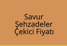 Savur Çekici Fiyatı – Şehzadeler Oto Kurtarıcı Ücreti