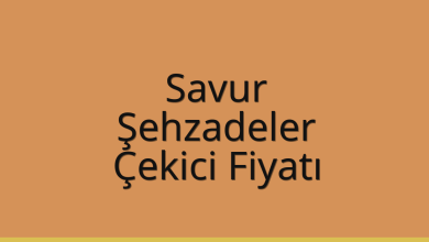 Savur Çekici Fiyatı – Şehzadeler Oto Kurtarıcı Ücreti