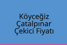 Köyceğiz Çekici Fiyatı – Çatalpınar Oto Kurtarıcı Ücreti