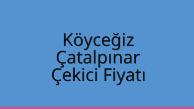 Köyceğiz Çekici Fiyatı - Çatalpınar Oto Kurtarıcı Ücreti Köyceğiz Çekici Fiyatı – Çatalpınar Oto Kurtarıcı Ücreti
