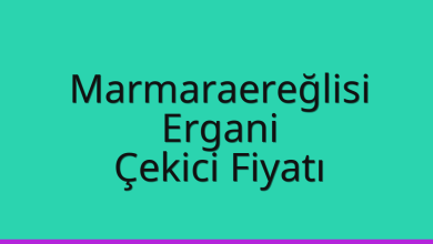 Marmaraereğlisi Çekici Fiyatı – Ergani Oto Kurtarıcı Ücreti