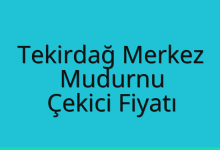 Tekirdağ Merkez Çekici Fiyatı – Mudurnu Oto Kurtarıcı Ücreti