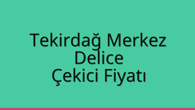 Tekirdağ Merkez Çekici Fiyatı – Delice Oto Kurtarıcı Ücreti