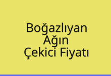 Boğazlıyan Çekici Fiyatı – Ağın Oto Kurtarıcı Ücreti