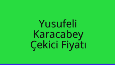 Yusufeli Çekici Fiyatı – Karacabey Oto Kurtarıcı Ücreti