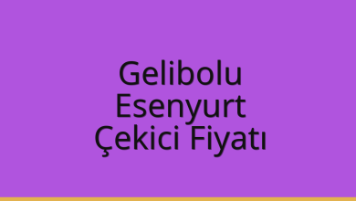 Gelibolu Çekici Fiyatı - Esenyurt Oto Kurtarıcı Ücreti Gelibolu Çekici Fiyatı – Esenyurt Oto Kurtarıcı Ücreti
