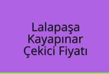 Lalapaşa Çekici Fiyatı – Kayapınar Oto Kurtarıcı Ücreti