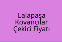 Lalapaşa Çekici Fiyatı – Kovancılar Oto Kurtarıcı Ücreti