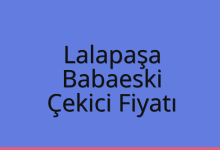 Lalapaşa Çekici Fiyatı – Babaeski Oto Kurtarıcı Ücreti