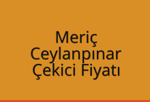 Meriç Çekici Fiyatı – Ceylanpınar Oto Kurtarıcı Ücreti