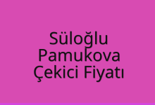 Süloğlu Çekici Fiyatı – Pamukova Oto Kurtarıcı Ücreti