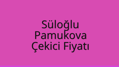 Süloğlu Çekici Fiyatı – Pamukova Oto Kurtarıcı Ücreti