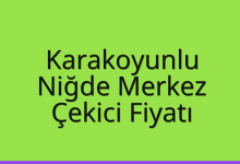 Karakoyunlu Çekici Fiyatı – Niğde Merkez Oto Kurtarıcı Ücreti