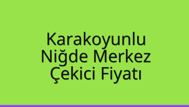 Karakoyunlu Çekici Fiyatı - Niğde Merkez Oto Kurtarıcı Ücreti Karakoyunlu Çekici Fiyatı – Niğde Merkez Oto Kurtarıcı Ücreti