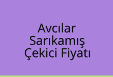 Avcılar Çekici Fiyatı – Sarıkamış Oto Kurtarıcı Ücreti