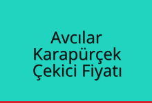 Avcılar Çekici Fiyatı – Karapürçek Oto Kurtarıcı Ücreti