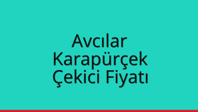 Avcılar Çekici Fiyatı – Karapürçek Oto Kurtarıcı Ücreti