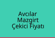 Avcılar Çekici Fiyatı – Mazgirt Oto Kurtarıcı Ücreti