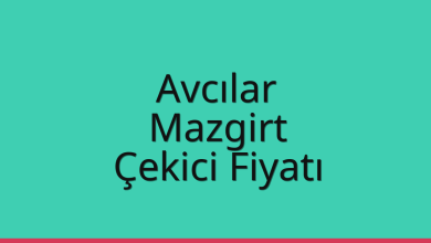 Avcılar Çekici Fiyatı – Mazgirt Oto Kurtarıcı Ücreti
