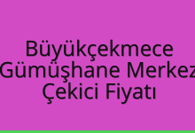 Büyükçekmece Çekici Fiyatı – Gümüşhane Merkez Oto Kurtarıcı Ücreti