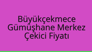 Büyükçekmece Çekici Fiyatı – Gümüşhane Merkez Oto Kurtarıcı Ücreti